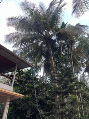 Sadhana Homestay